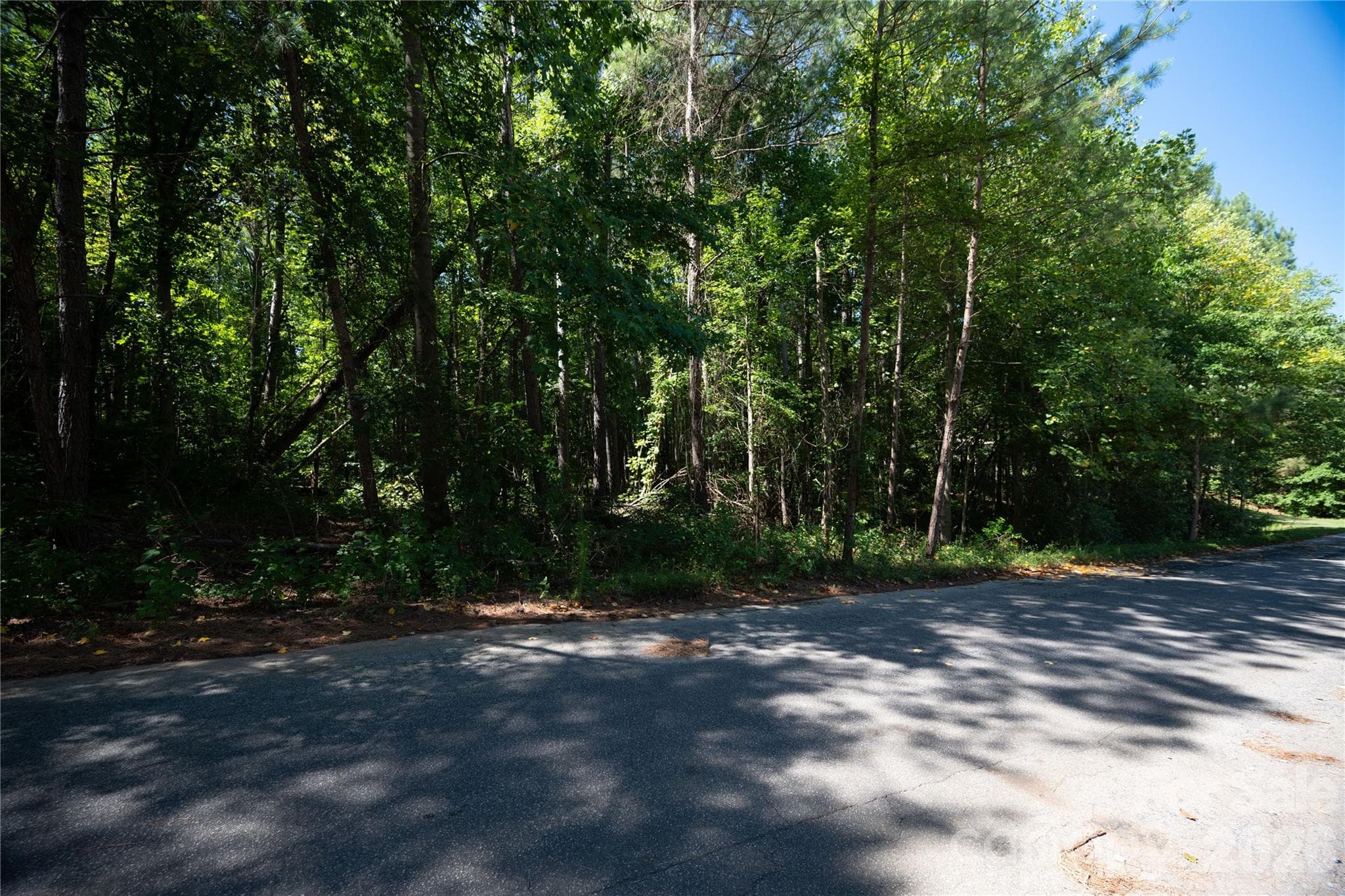 00 Knottywood Lane
