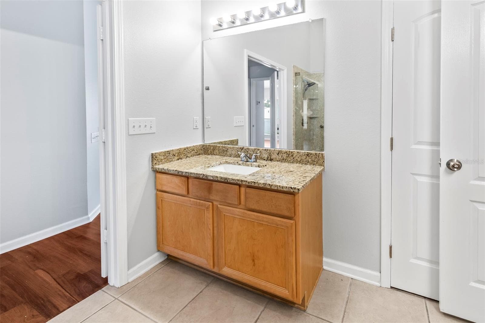 Master Bath 3 - 5417 ALGERINE PL, WESLEY CHAPEL