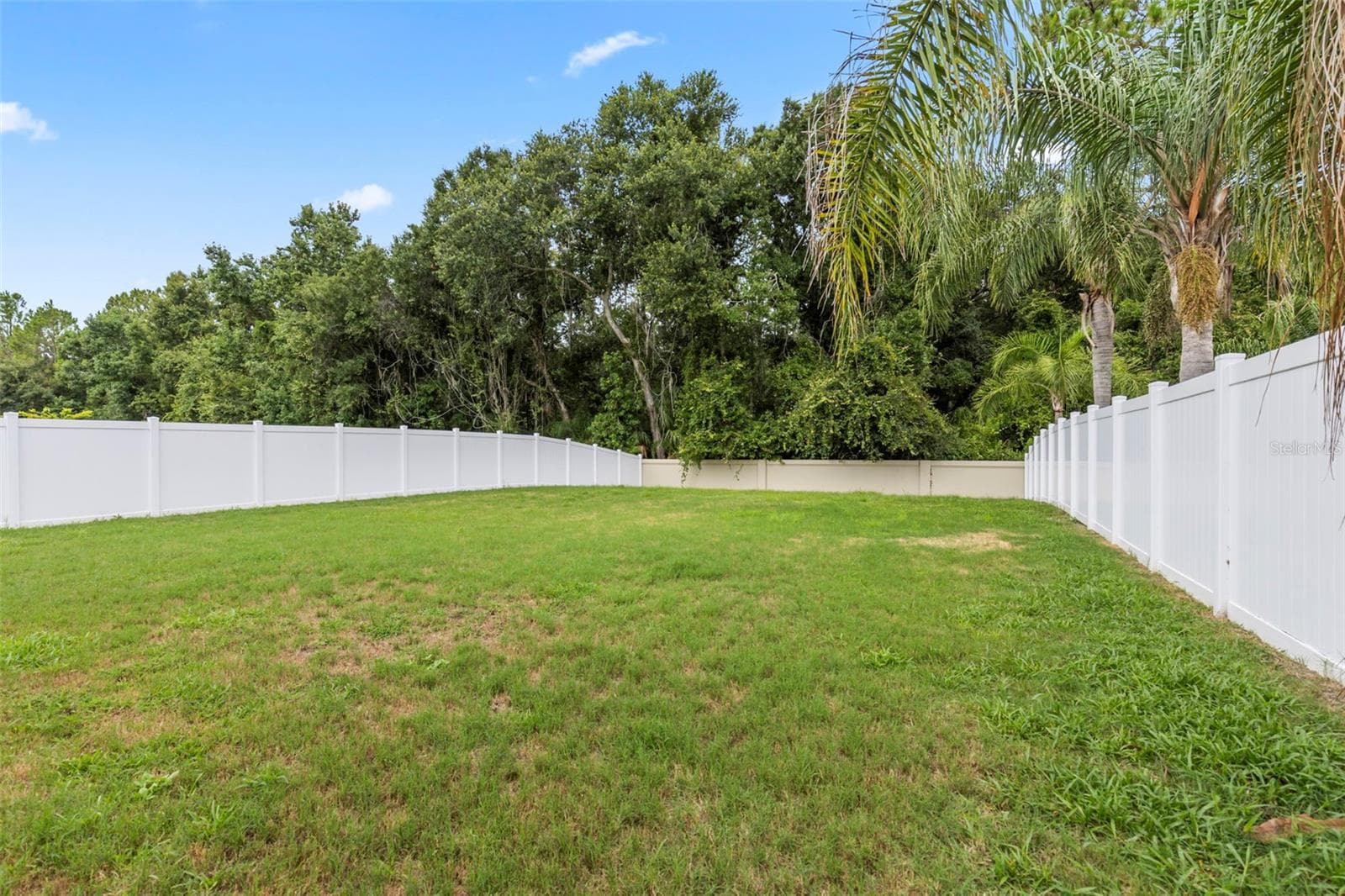 Extended back yard with fence - 5417 ALGERINE PL, WESLEY CHAPEL