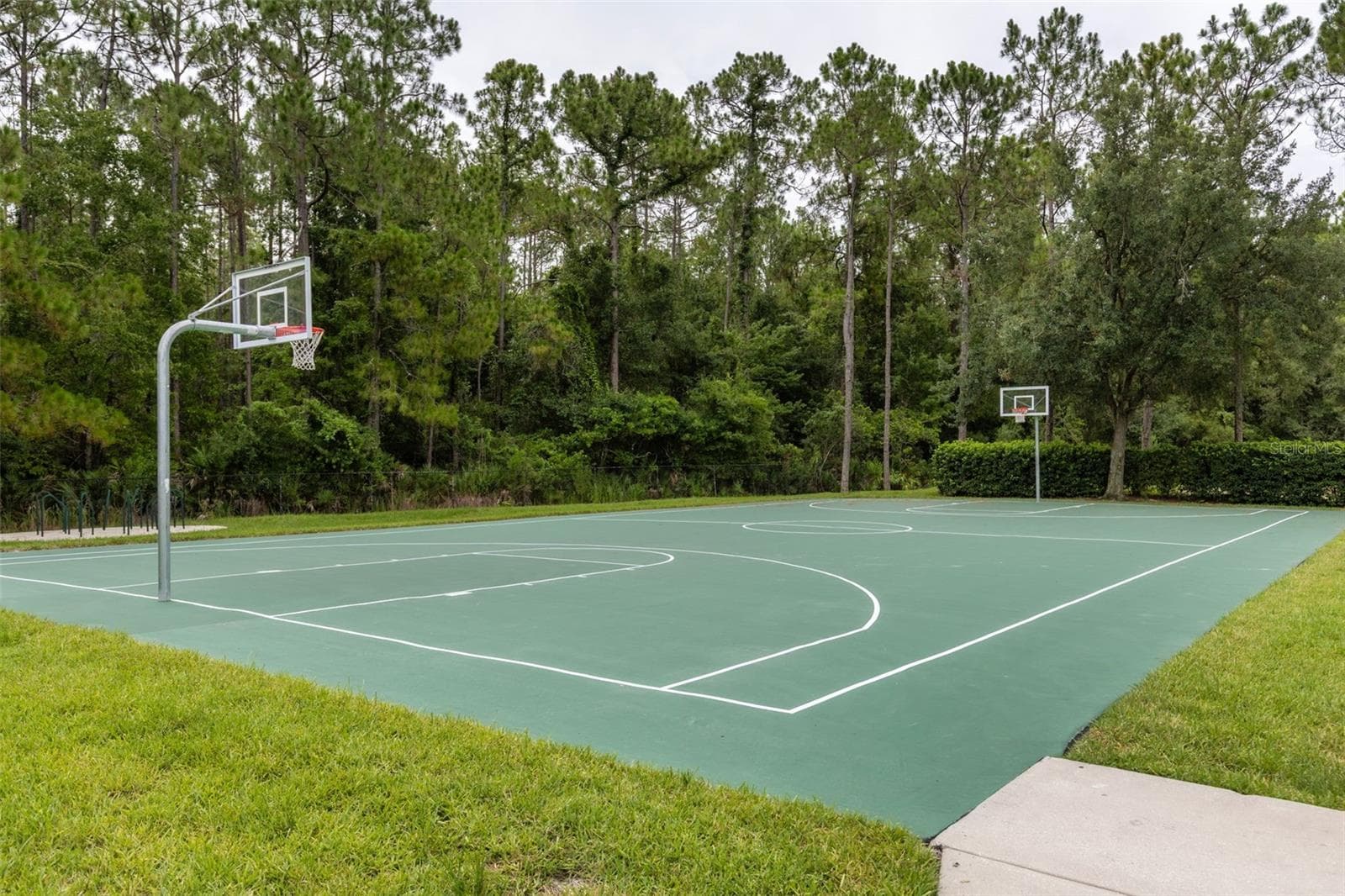 Single Family Residence at 5417 ALGERINE PL, WESLEY CHAPEL, photo 53 of 56