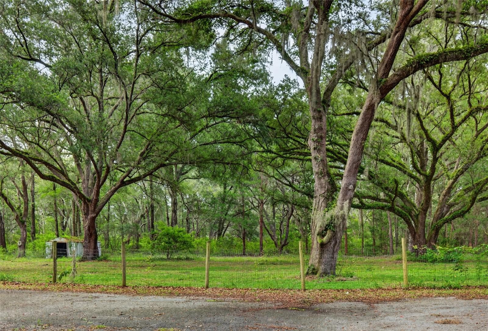 Single Family Residence at 11795 SW HIGHWAY 484, DUNNELLON, photo 10 of 84