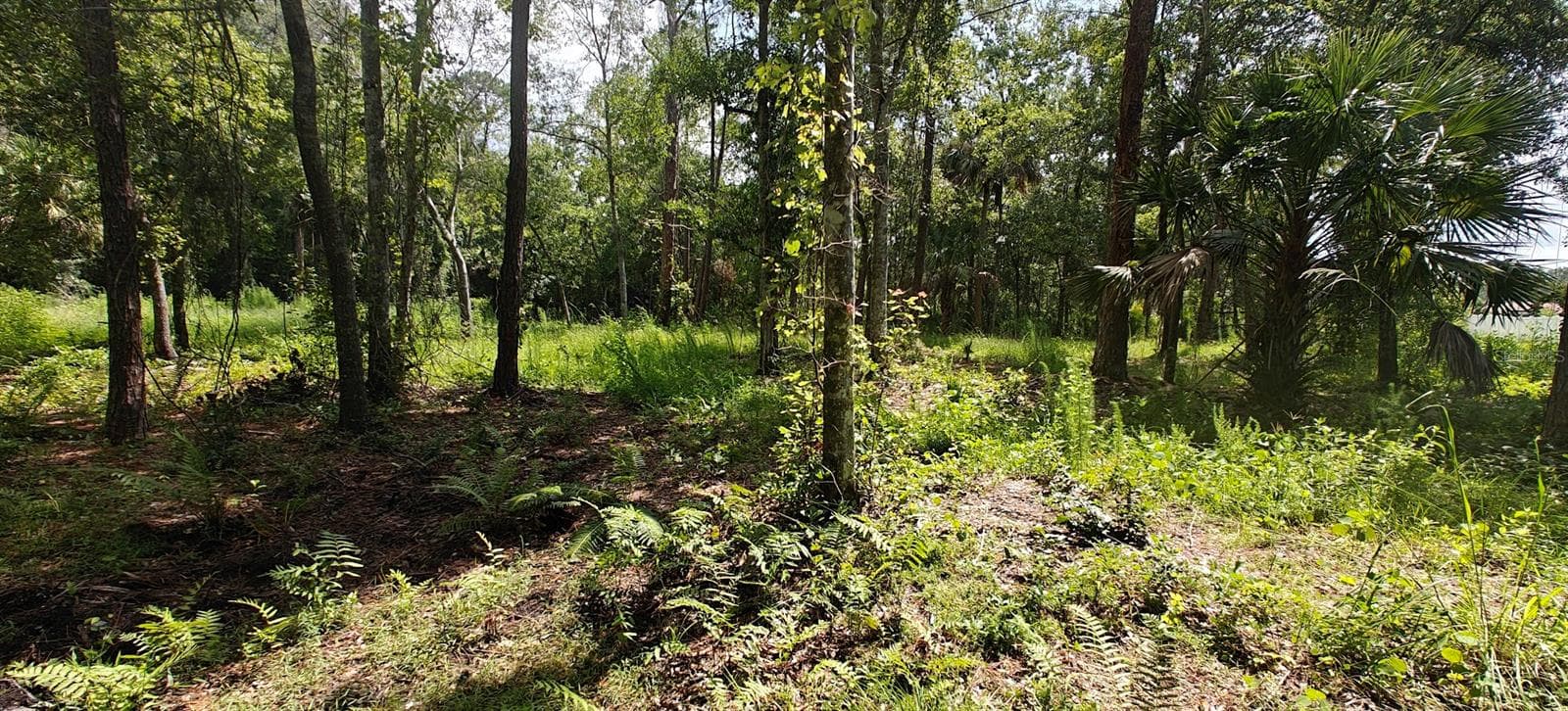 Land at 8401 AMELIA TRL, KISSIMMEE, photo 9 of 23
