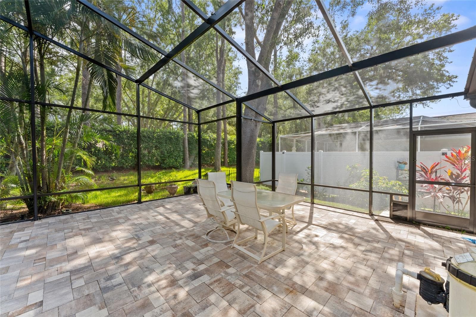 newly installed pool cage (no seem screen) - 4287 TREMBLAY WAY, PALM HARBOR
