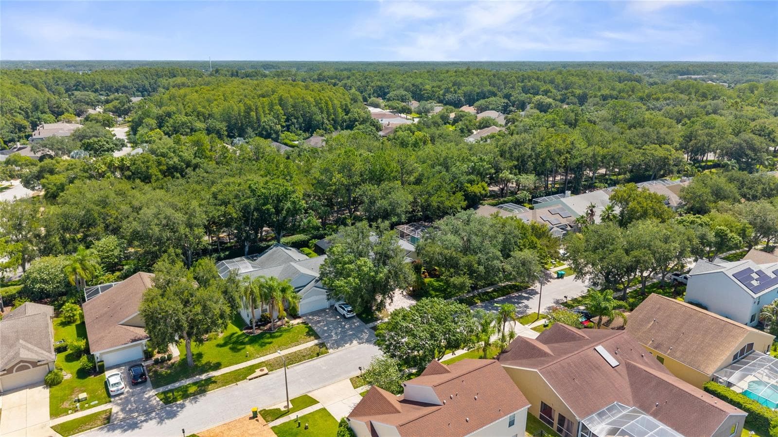 Lansbrook private park/dock to Tarpon - 4287 TREMBLAY WAY, PALM HARBOR