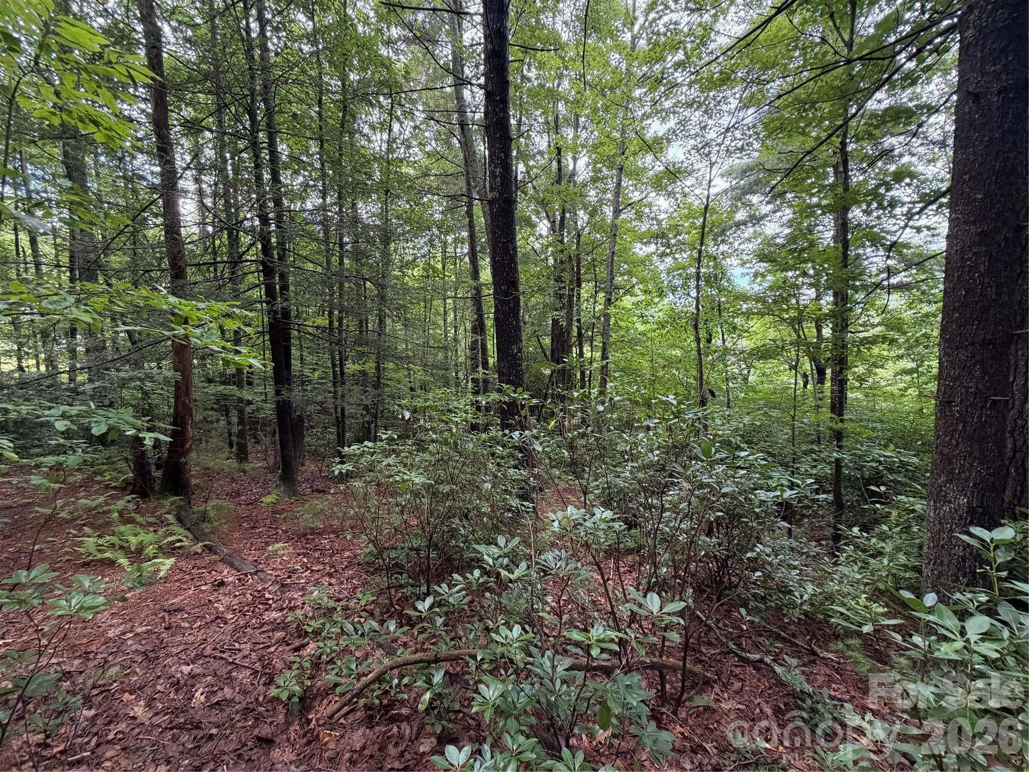Lot at 0 Gateway Drive, Hendersonville, photo 12 of 26