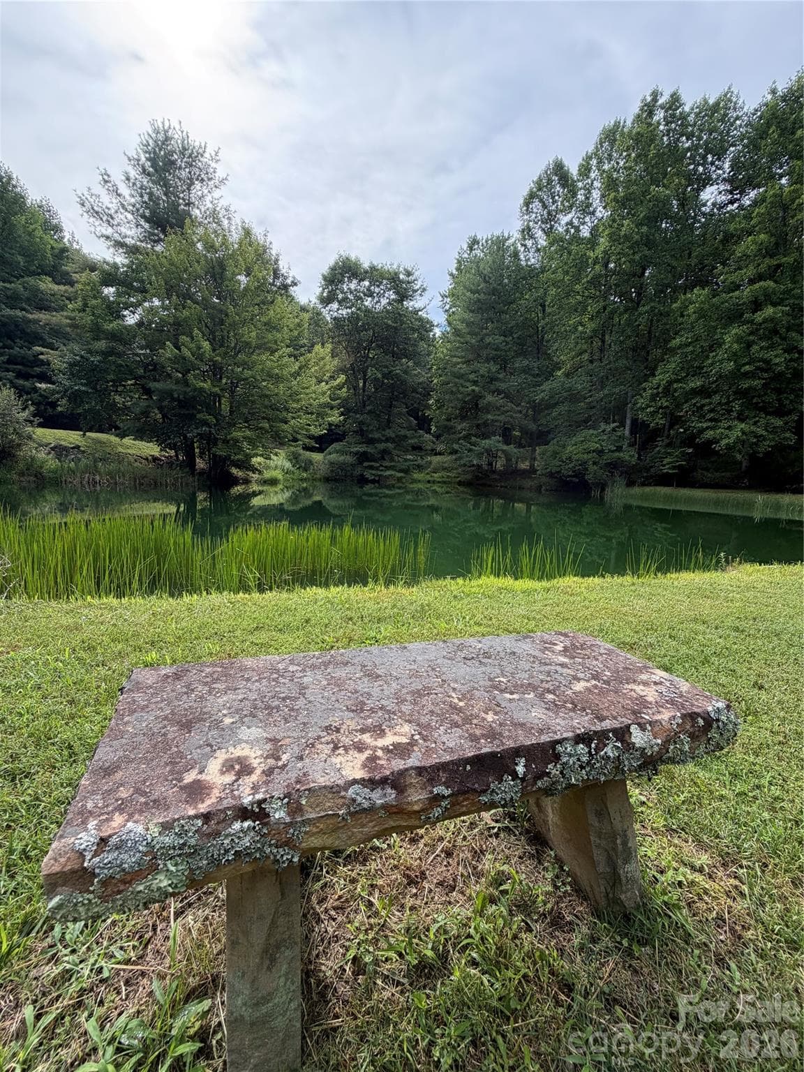 Beautiful Pond across from Lot 10 - 0 Gateway Drive, Hendersonville