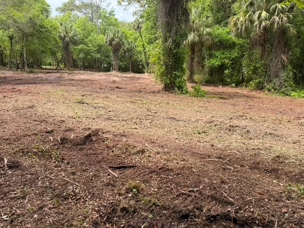Land at 8401 AMELIA TRL, KISSIMMEE, photo 20 of 23