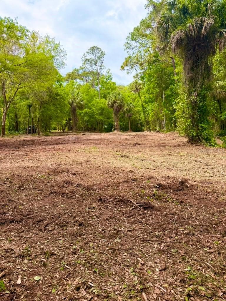 Land at 8401 AMELIA TRL, KISSIMMEE, photo 21 of 23