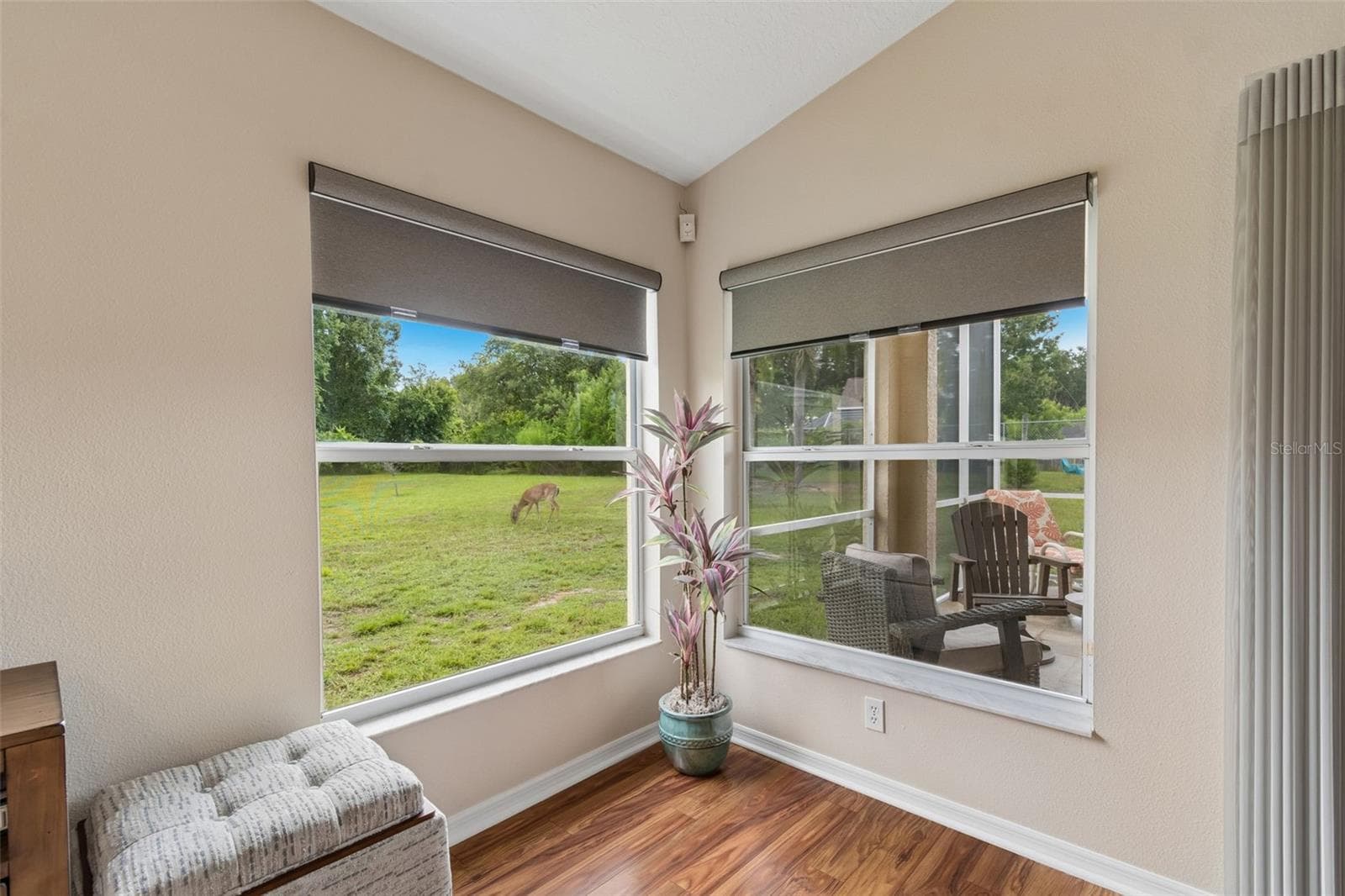 Single Family Residence at 20942 SUNSWEET CT, LAND O LAKES, photo 18 of 45