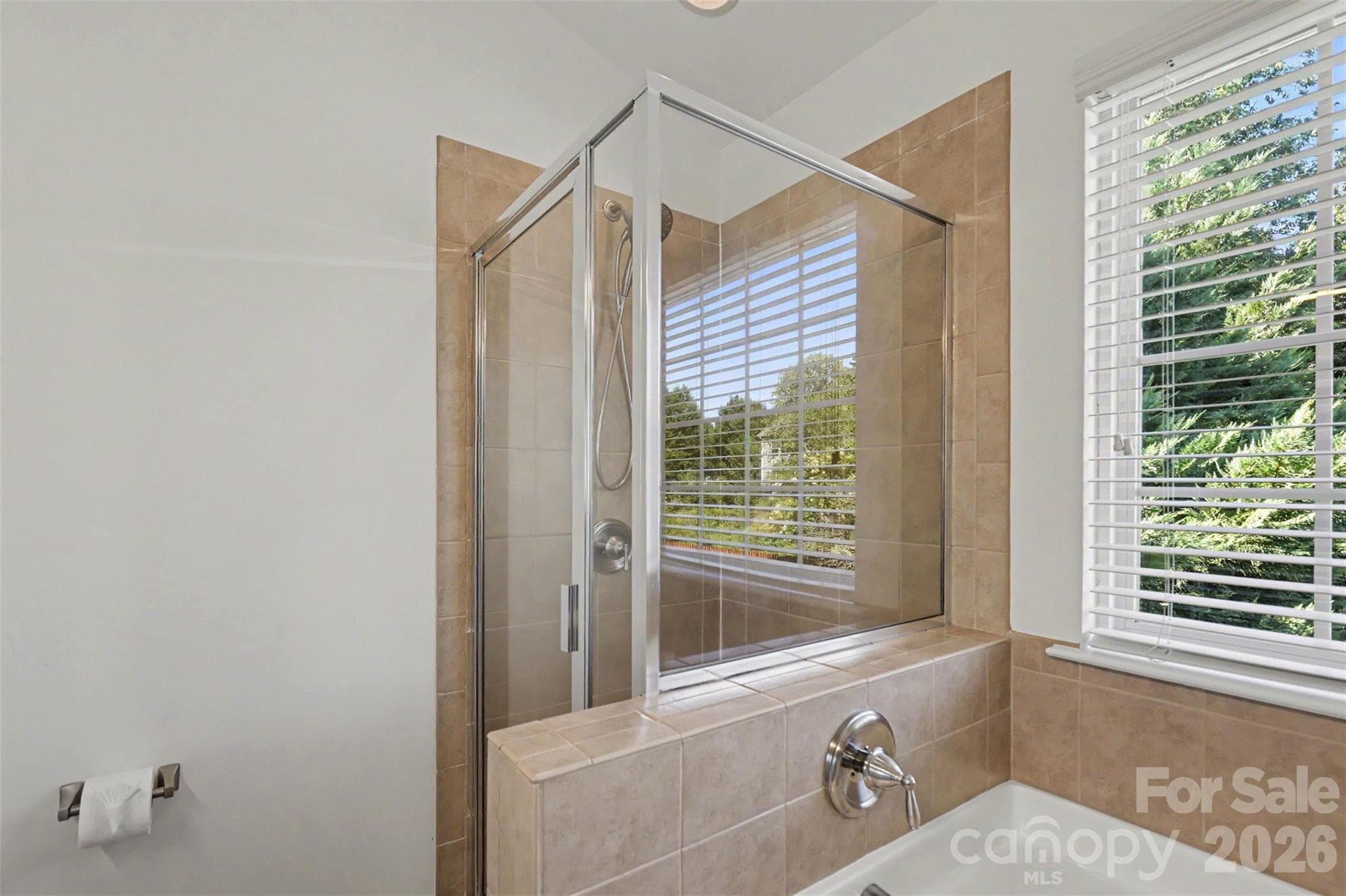 Large soaker tub and framed shower - 712 Tulip Tree Place, Rock Hill