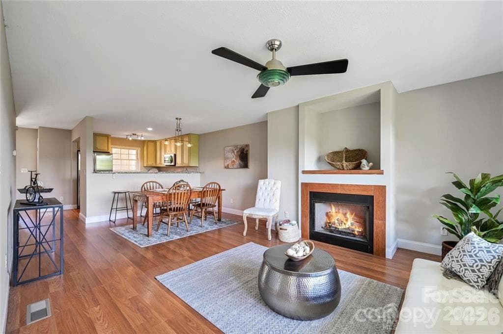 Living Room/Fireplace - 29 Rotunda Circle, Asheville