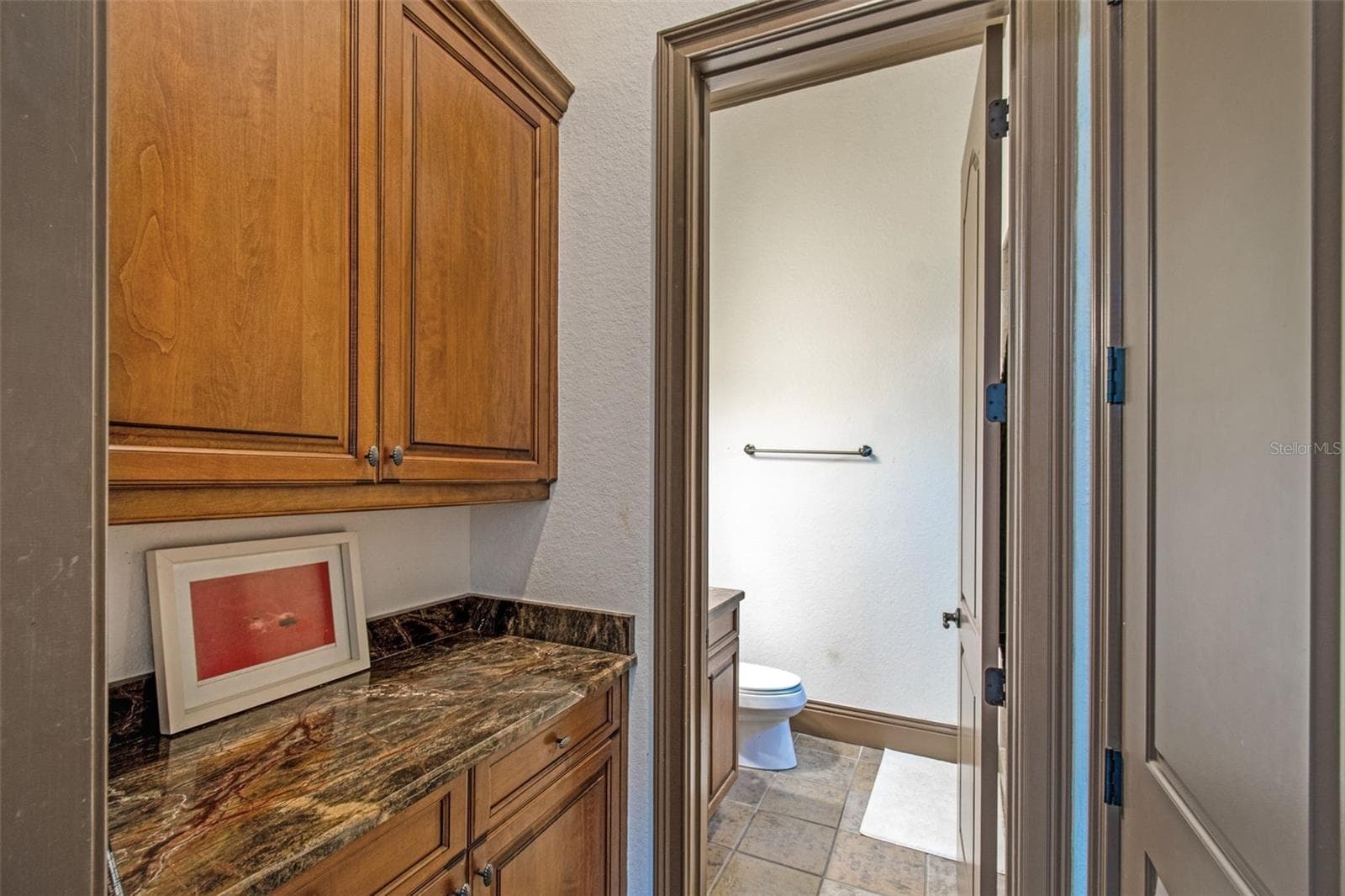 Single Family Residence at 13250 BELLARIA CIR, WINDERMERE, photo 29 of 99