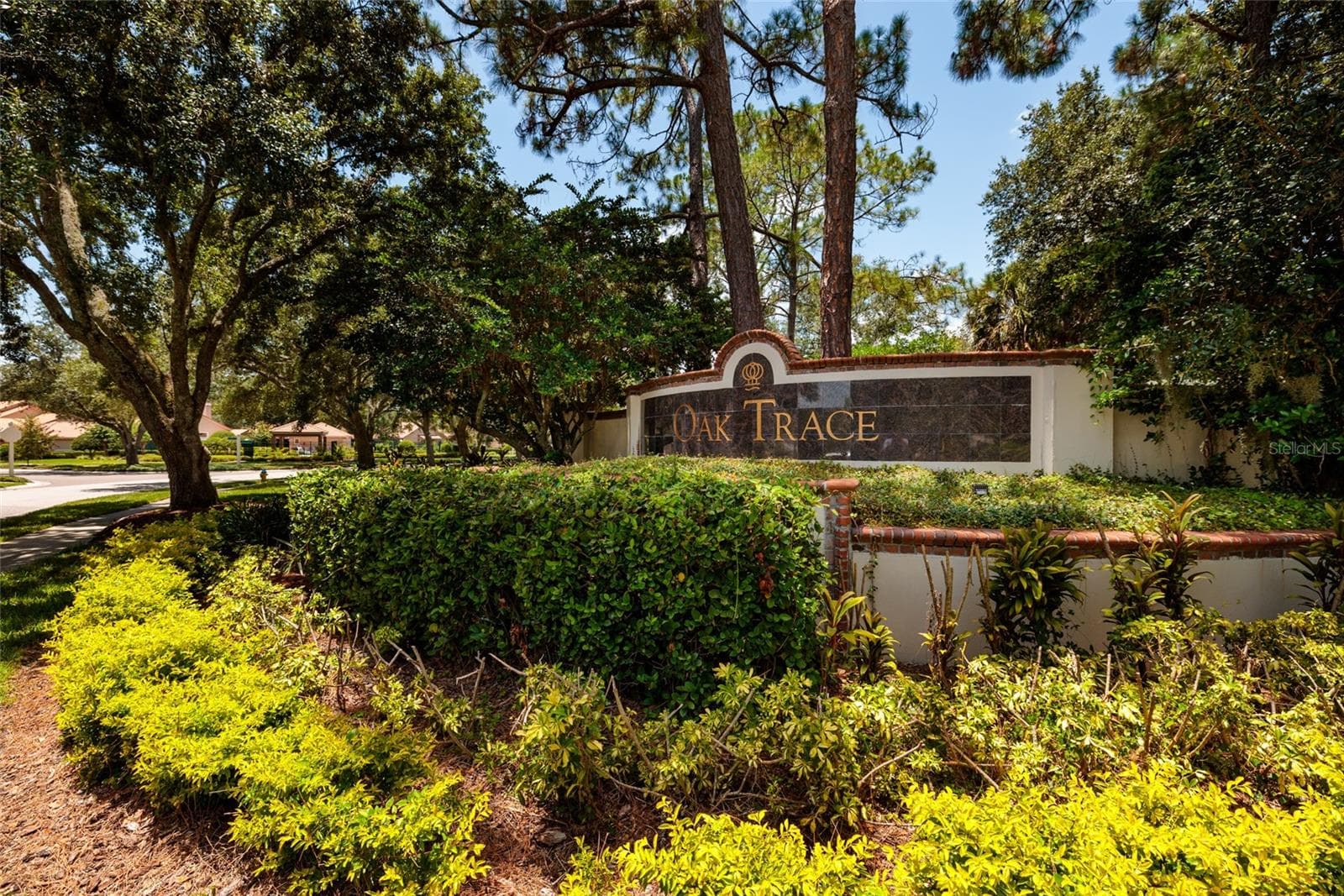 Main entrance of community - 17557 FAIRMEADOW DR, TAMPA