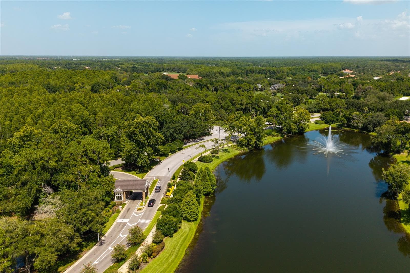 aerial view of lake and preserve - 17557 FAIRMEADOW DR, TAMPA