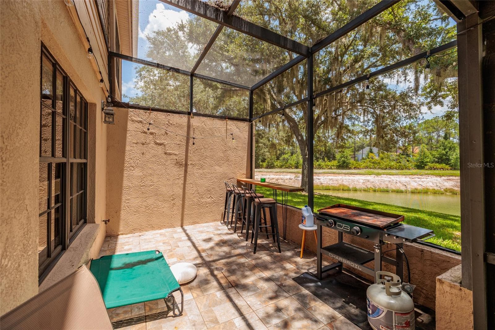 screened in porch with lake view - 17557 FAIRMEADOW DR, TAMPA