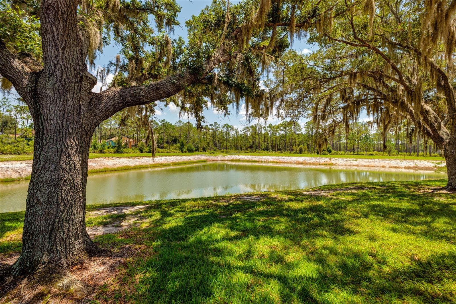 lake and yard view behind unit - 17557 FAIRMEADOW DR, TAMPA