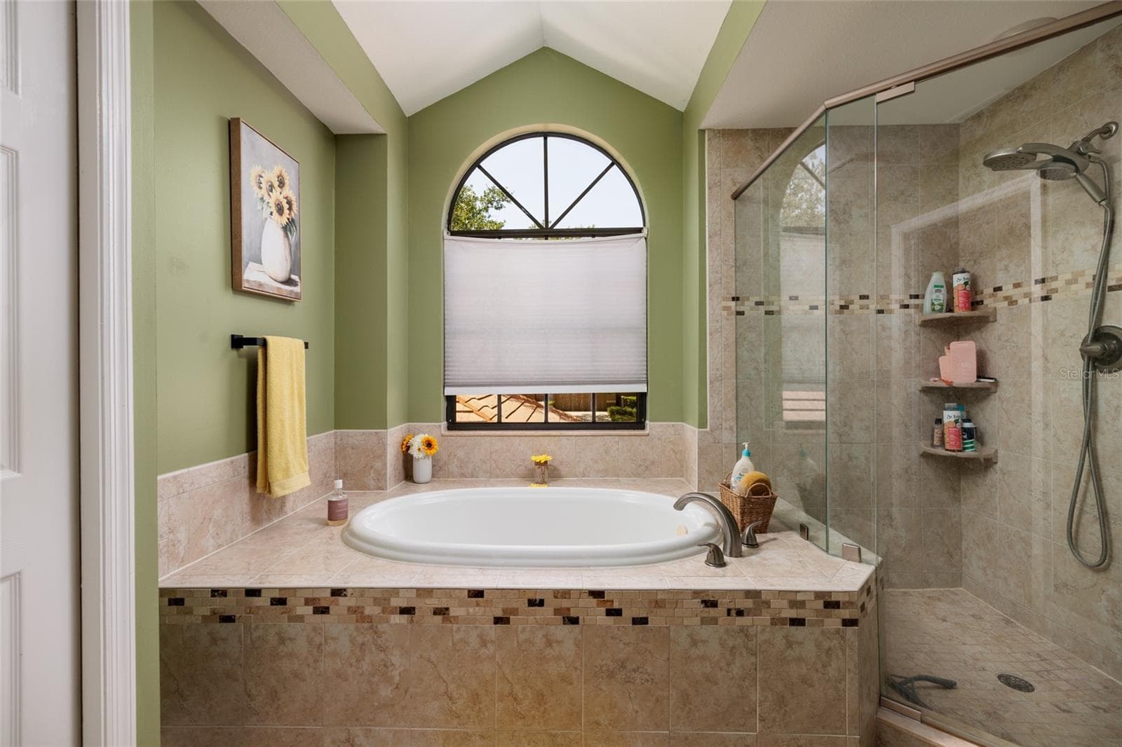 master bathroom - bathtub and walk-in shower - 17557 FAIRMEADOW DR, TAMPA