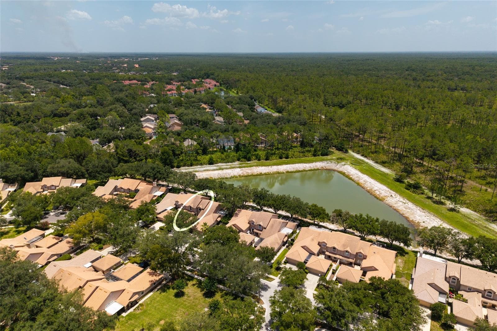 Aerial view lake and neighborhood - 17557 FAIRMEADOW DR, TAMPA