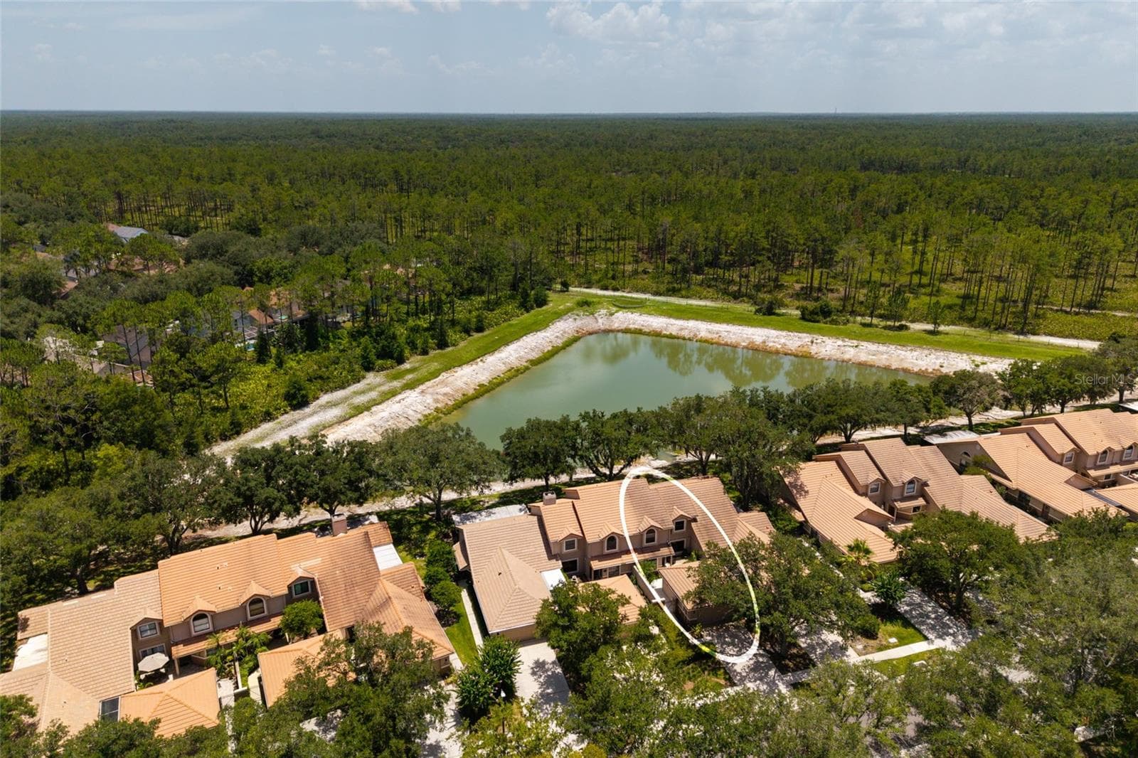 Aerial view lake and neighborhood - 17557 FAIRMEADOW DR, TAMPA