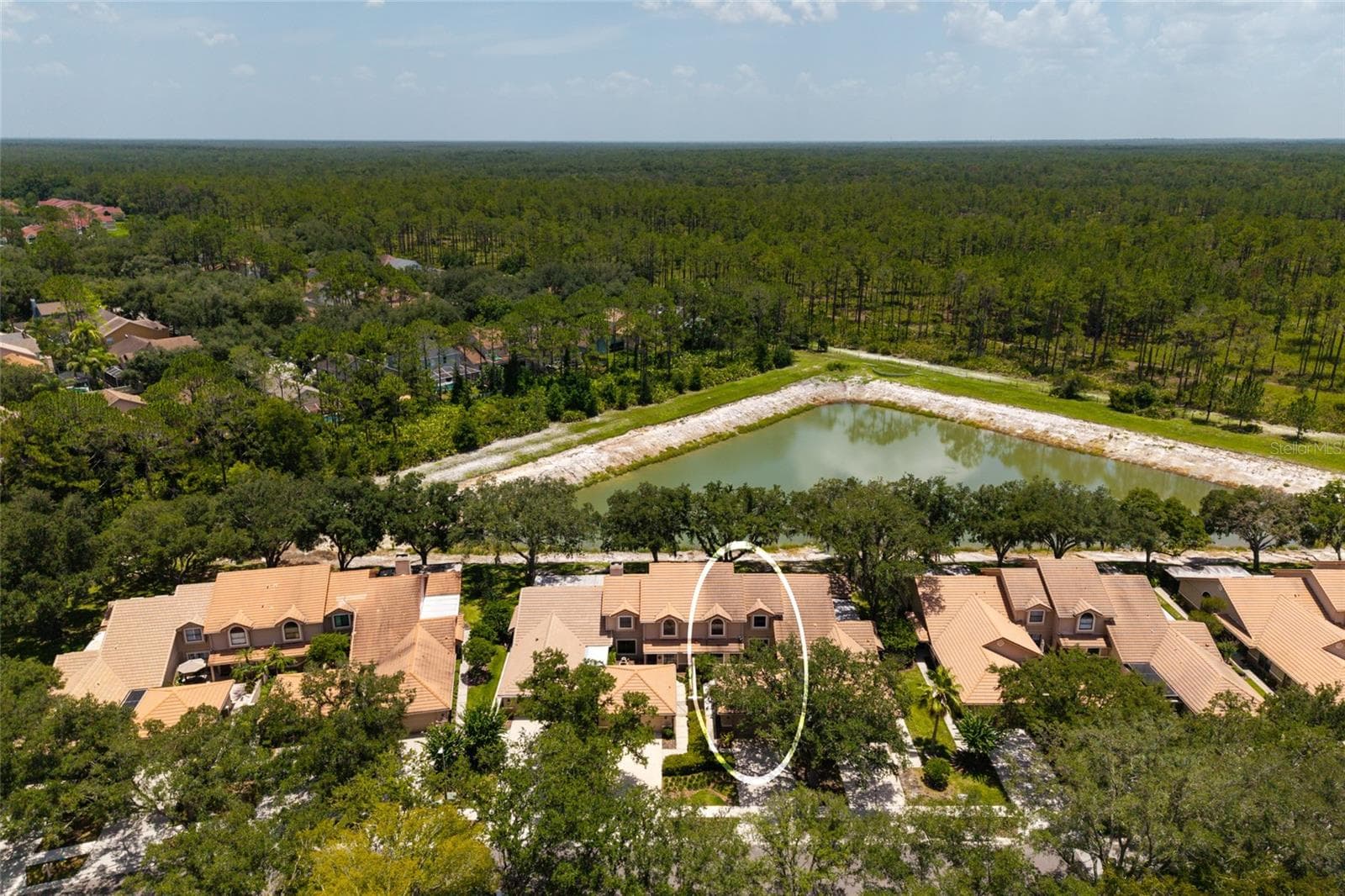 Aerial view lake and neighborhood - 17557 FAIRMEADOW DR, TAMPA