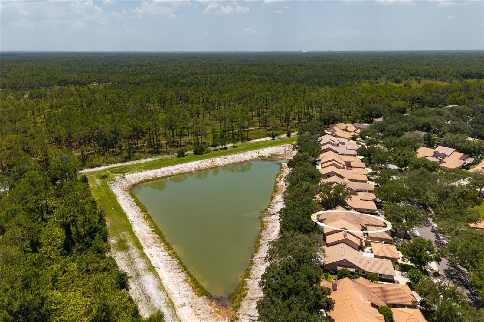 Aerial view lake and neighborhood - 17557 FAIRMEADOW DR, TAMPA