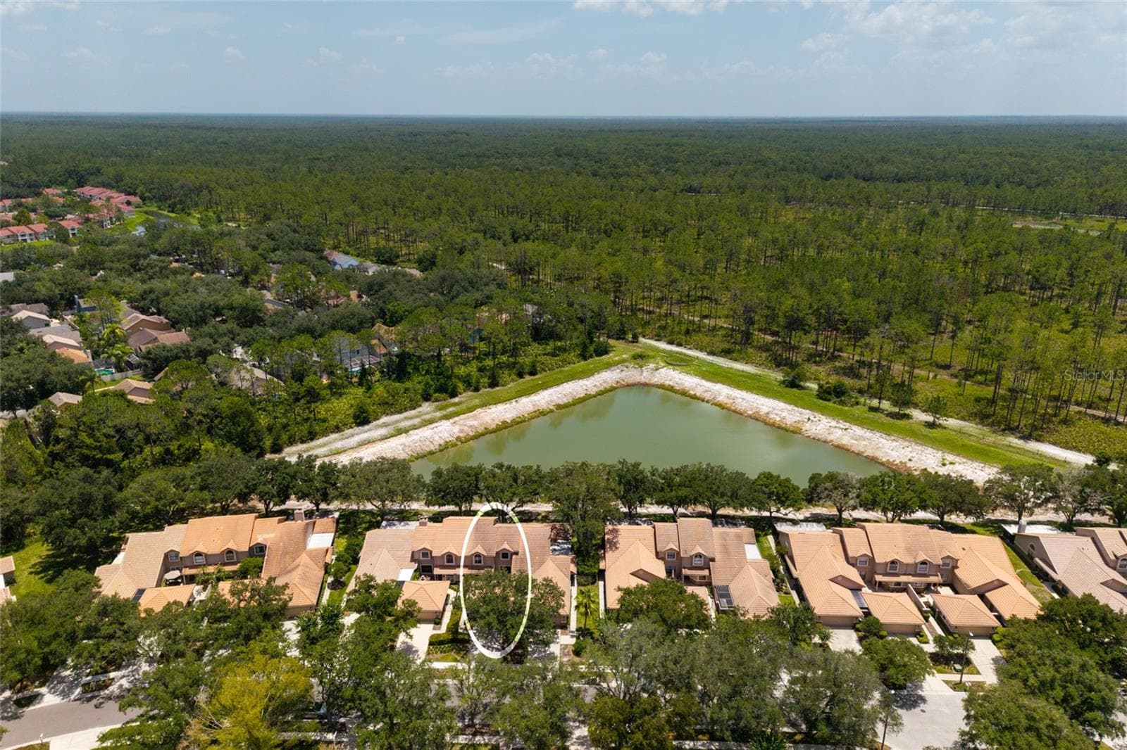 Aerial view lake and neighborhood - 17557 FAIRMEADOW DR, TAMPA