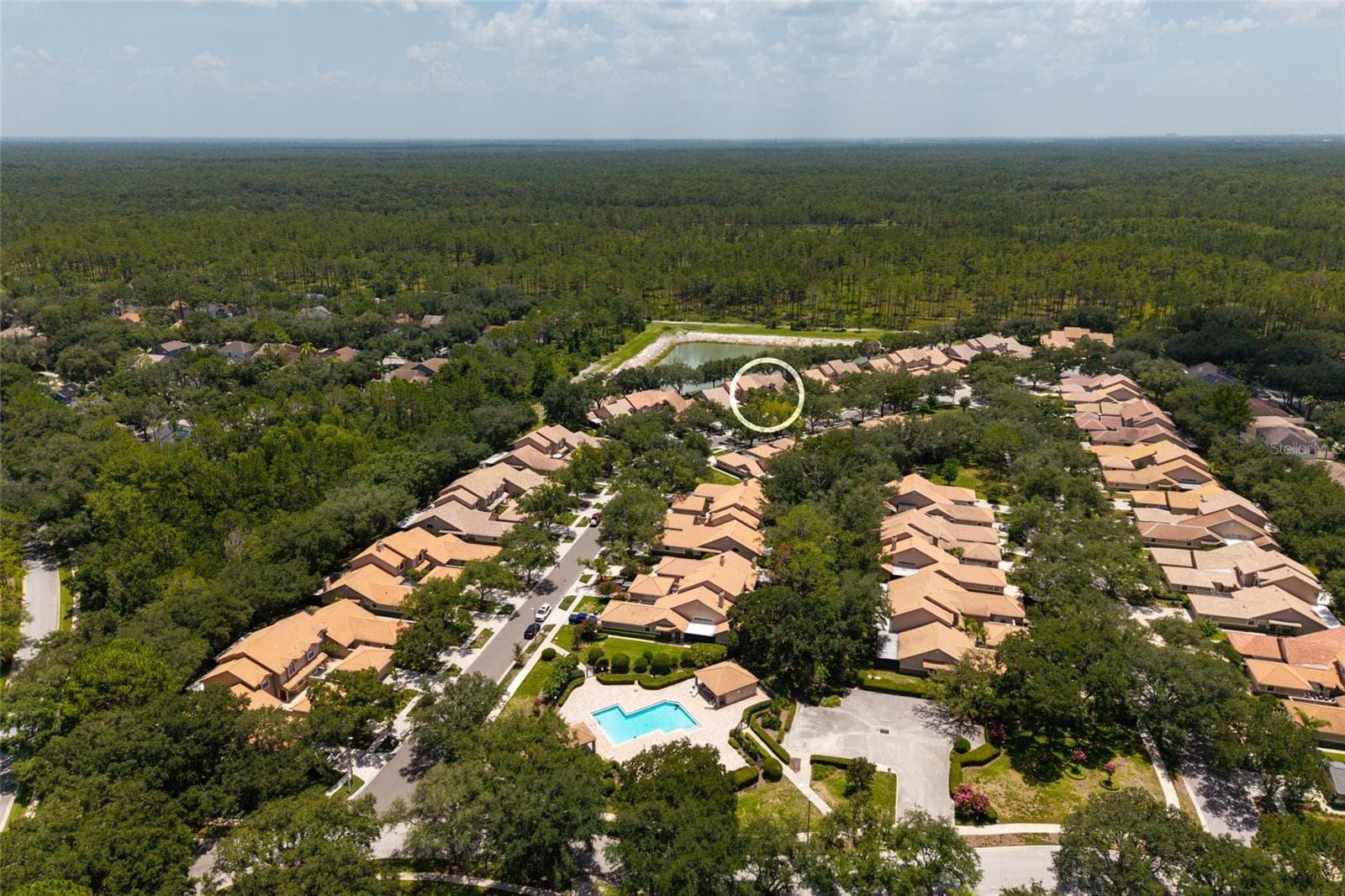 Aerial view neighborhood - 17557 FAIRMEADOW DR, TAMPA
