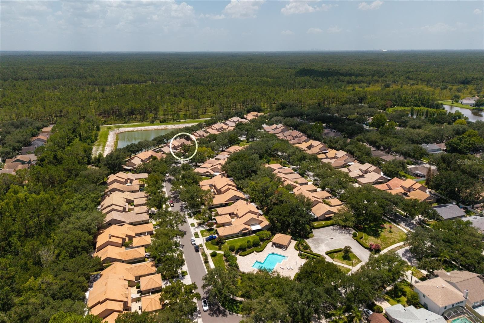 aerial view neighborhood - 17557 FAIRMEADOW DR, TAMPA