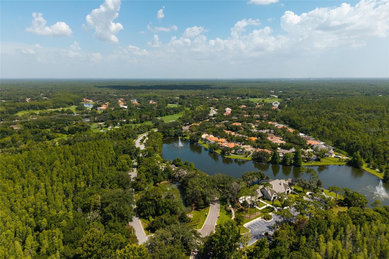 aerial view lake and preserve - 17557 FAIRMEADOW DR, TAMPA