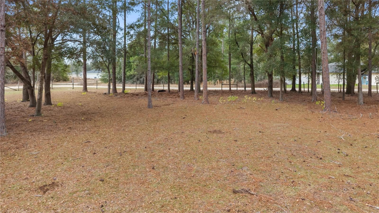 Single Family Residence at 11235 SW 131ST TER, DUNNELLON, photo 24 of 54