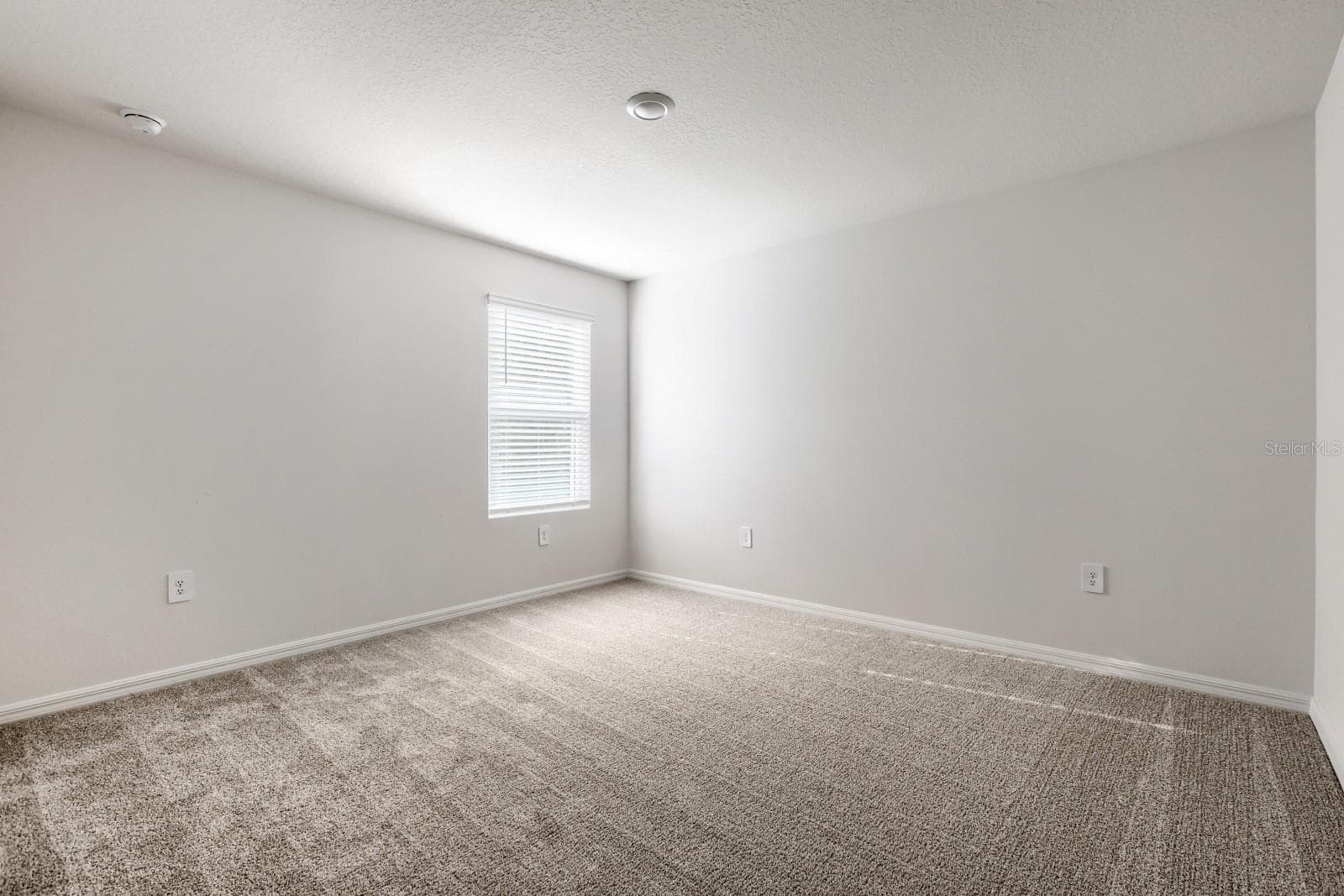 Single Family Residence at 7426 MIA VINE DR, BROOKSVILLE, photo 22 of 31