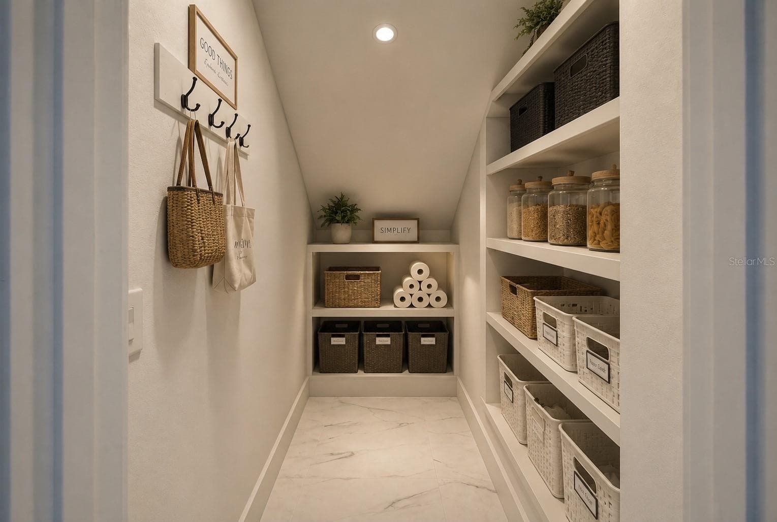 Under Stairs Storage Room (Virtua Stage) - 1515 VALIER PT, ZEPHYRHILLS