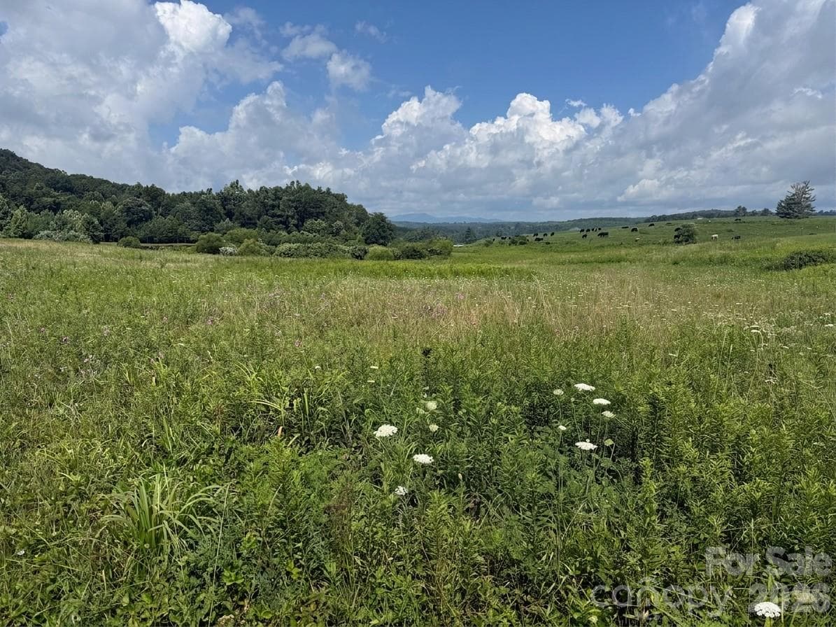 TBD Blue Ridge Estates