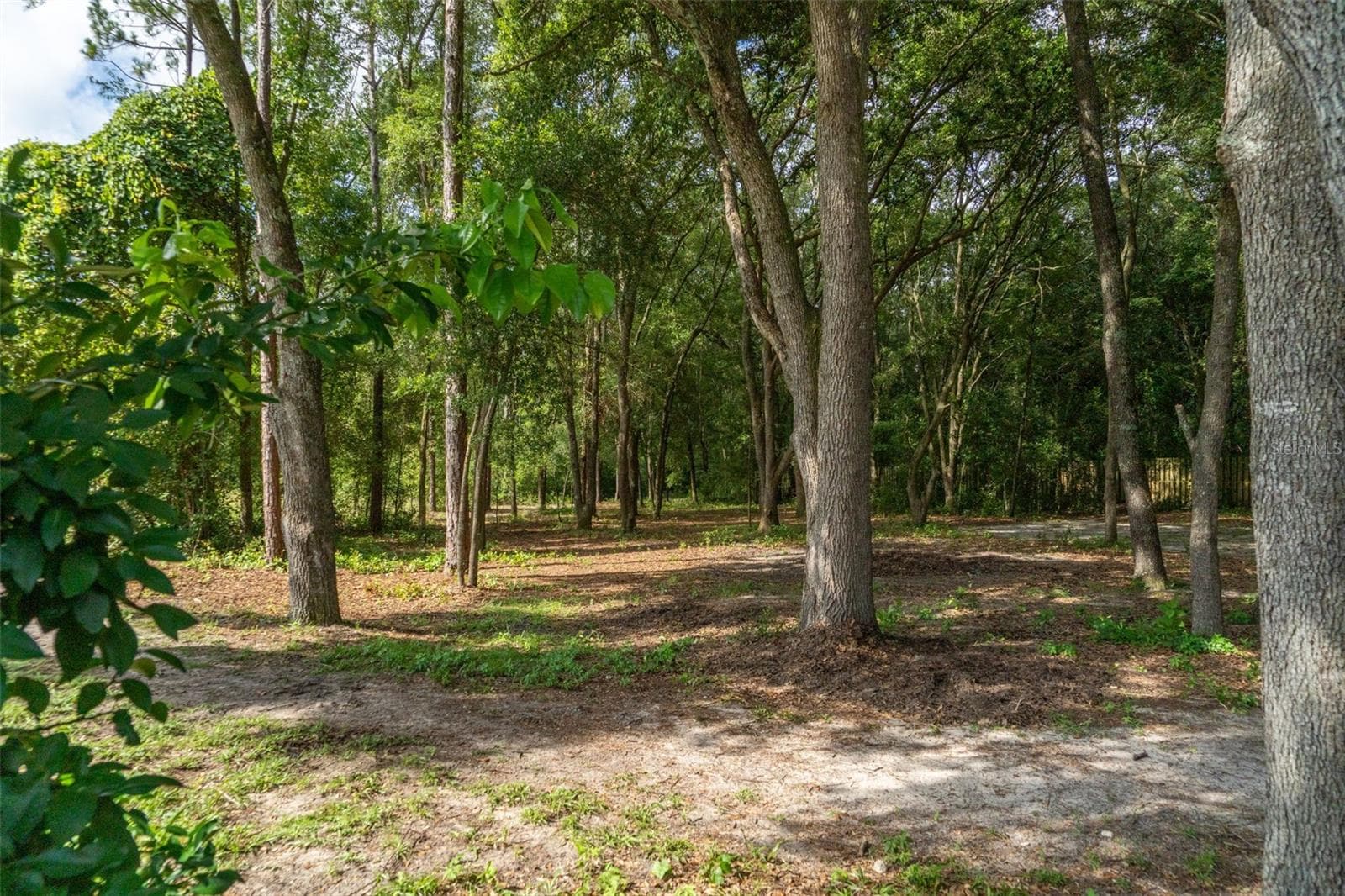 40 DEER TRAIL CIR