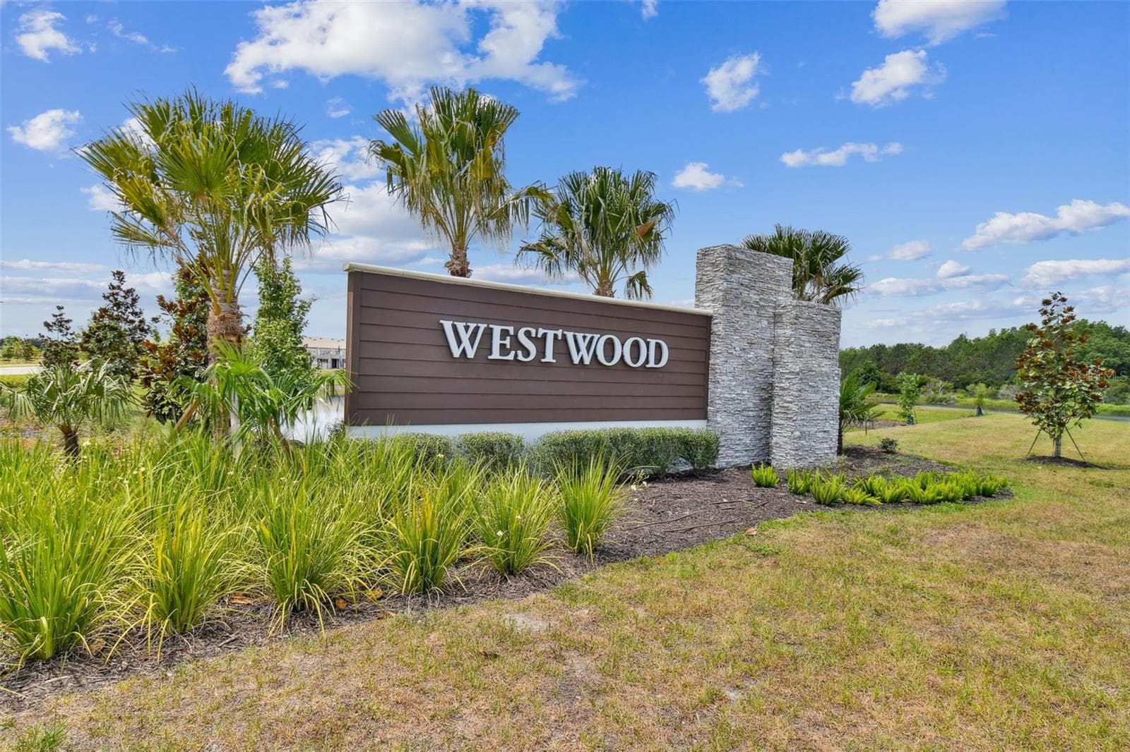 Townhouse at 17245 AMBER ASPEN WAY, LAND O LAKES, photo 80 of 81