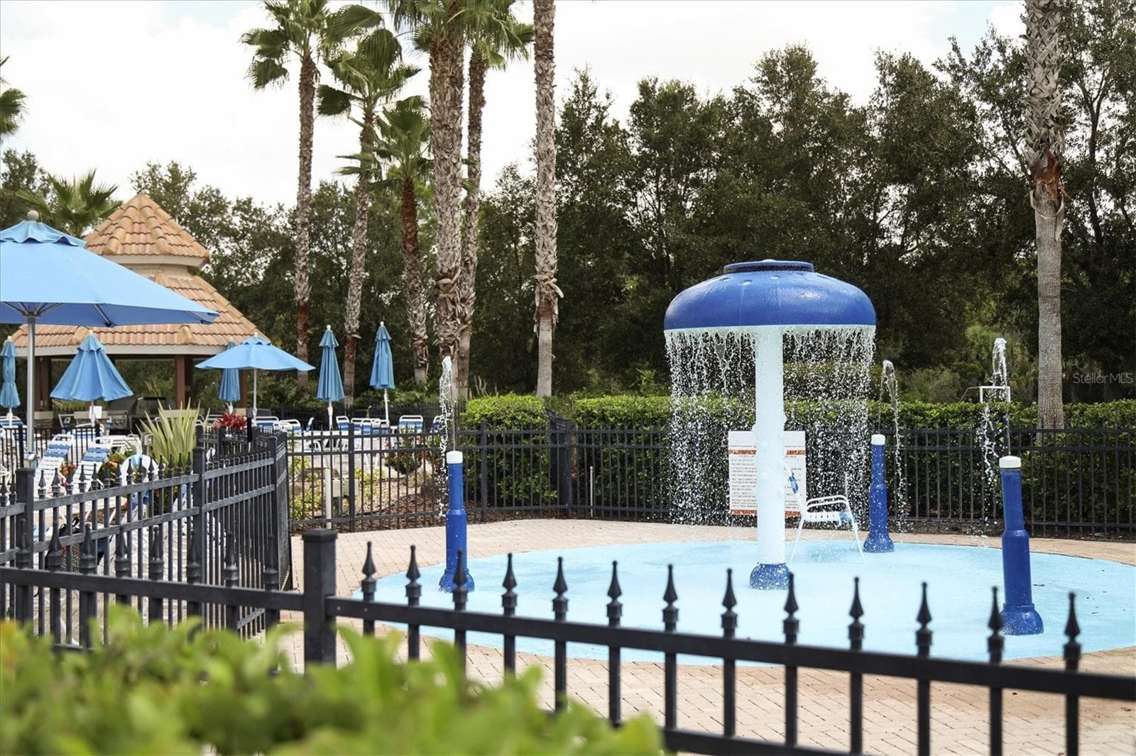 Swimming Pool - 11702 ANHINGA AVE, VENICE