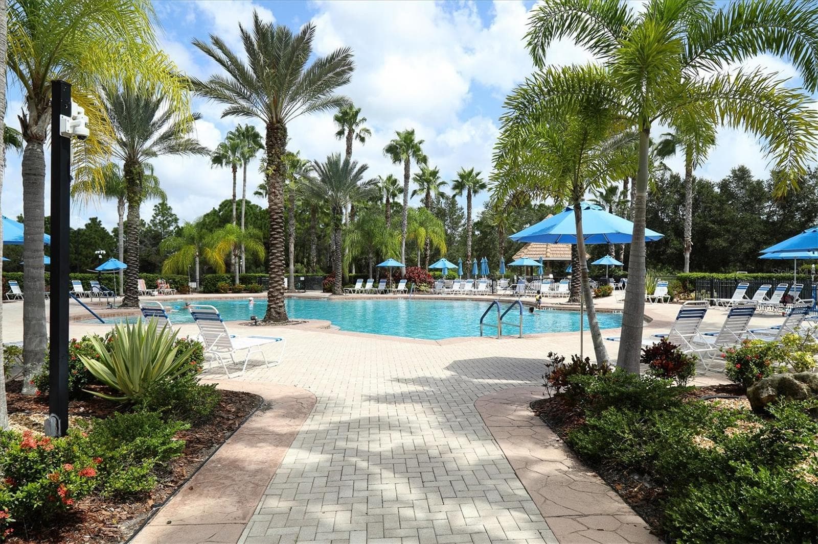 Swimming Pool - 11702 ANHINGA AVE, VENICE