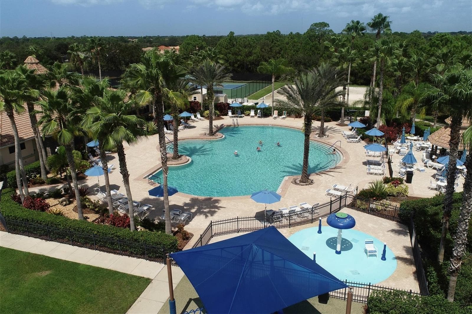 Swimming Pool - 11702 ANHINGA AVE, VENICE