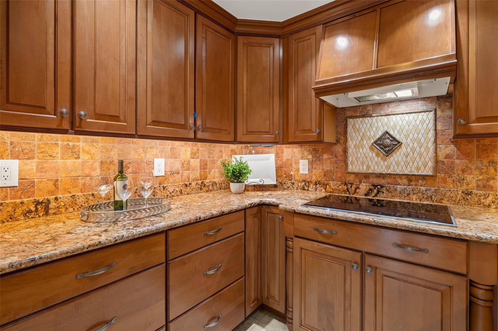 Kitchen with induction cooktop and hooded vent - 3233 W PARKLAND BLVD, TAMPA