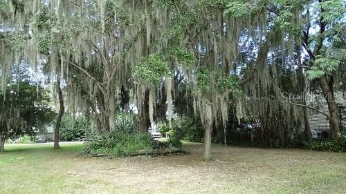 Land at 9444 LAKE HICKORY NUT DR, WINTER GARDEN, photo 6 of 9