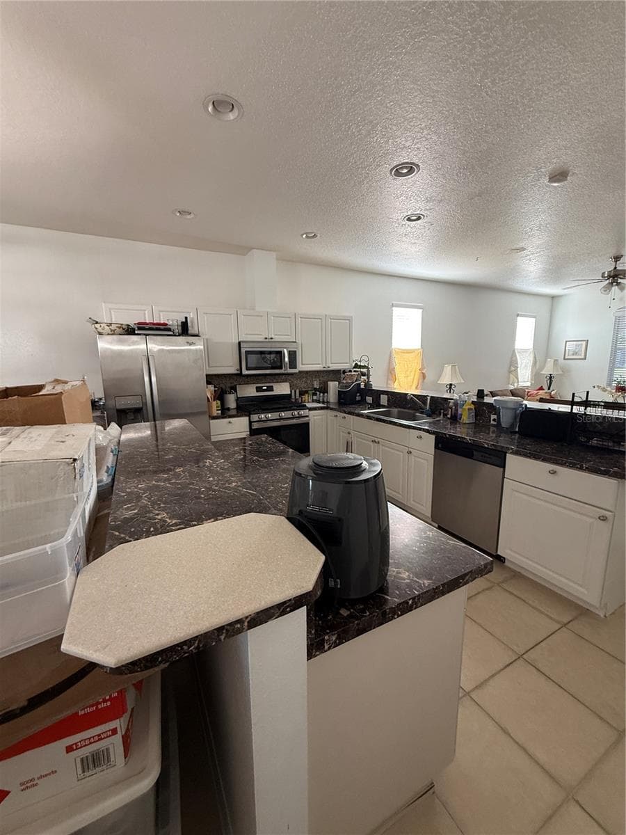 Single Family Residence at 3201 SUMMER CRUISE DR, VALRICO, photo 3 of 18