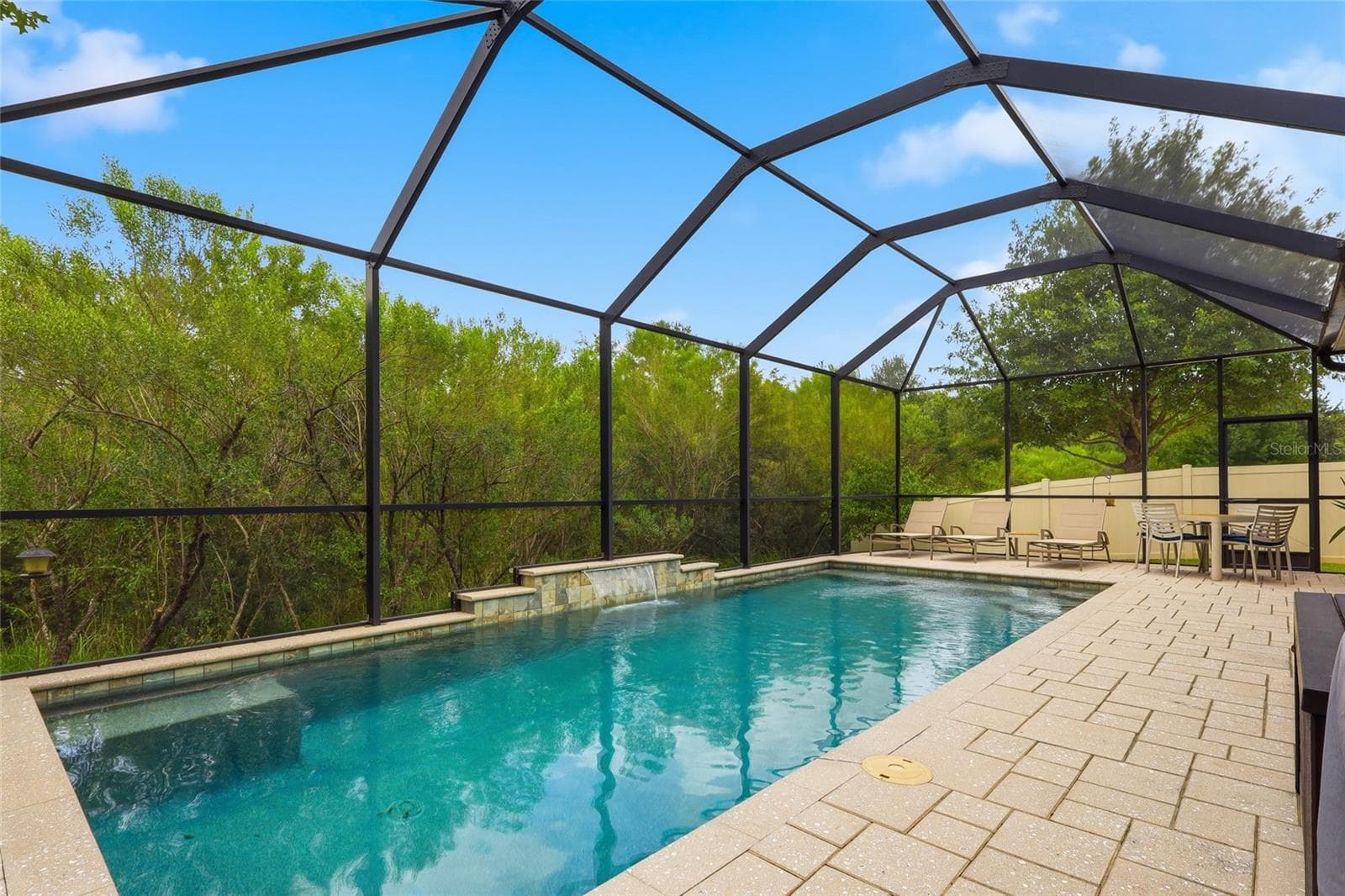 Florida living at its finest, with your own private, heated saltwater pool! - 27035 CAROLINA ASTER DR, WESLEY CHAPEL