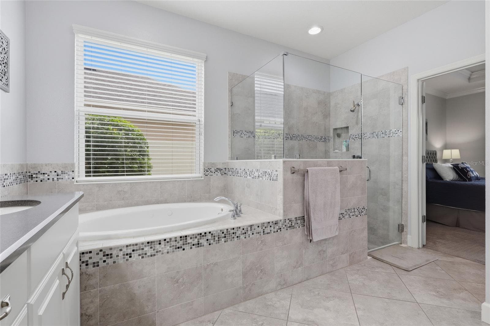 Primary bath with walk-in shower, jetted tub, and custom walk-in closet - 27035 CAROLINA ASTER DR, WESLEY CHAPEL