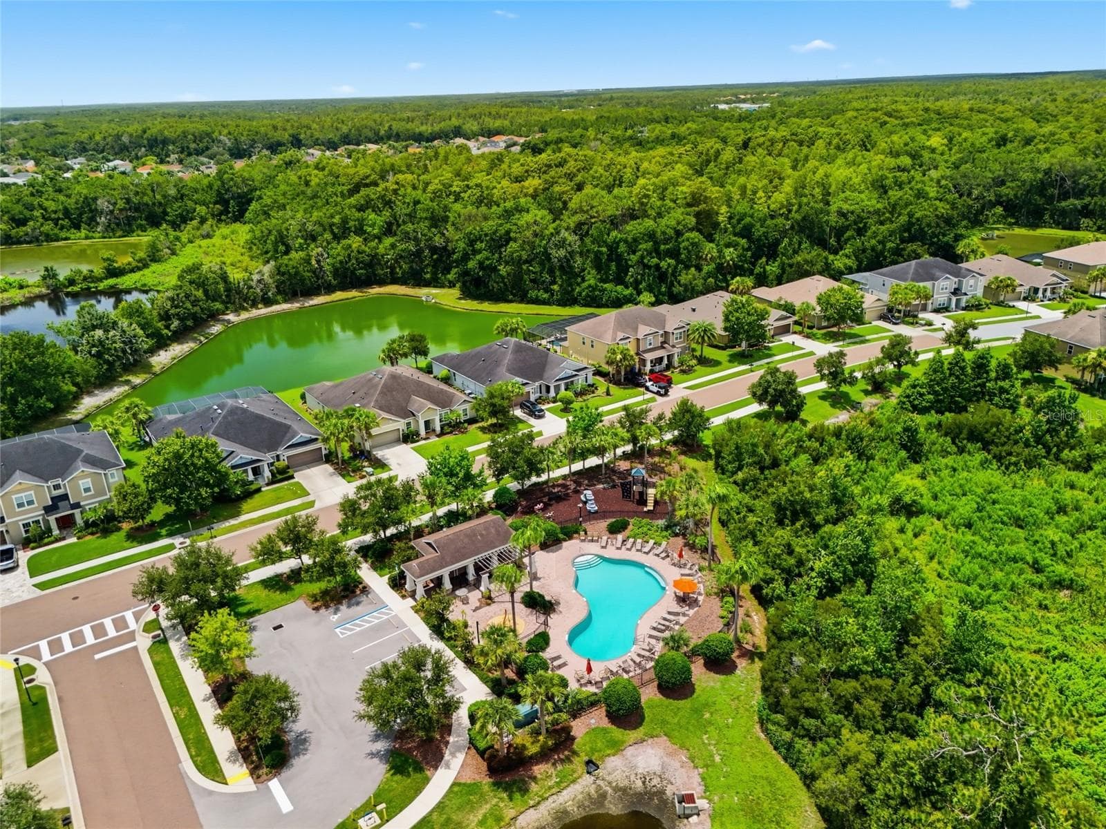 Community pool & playground - 27035 CAROLINA ASTER DR, WESLEY CHAPEL