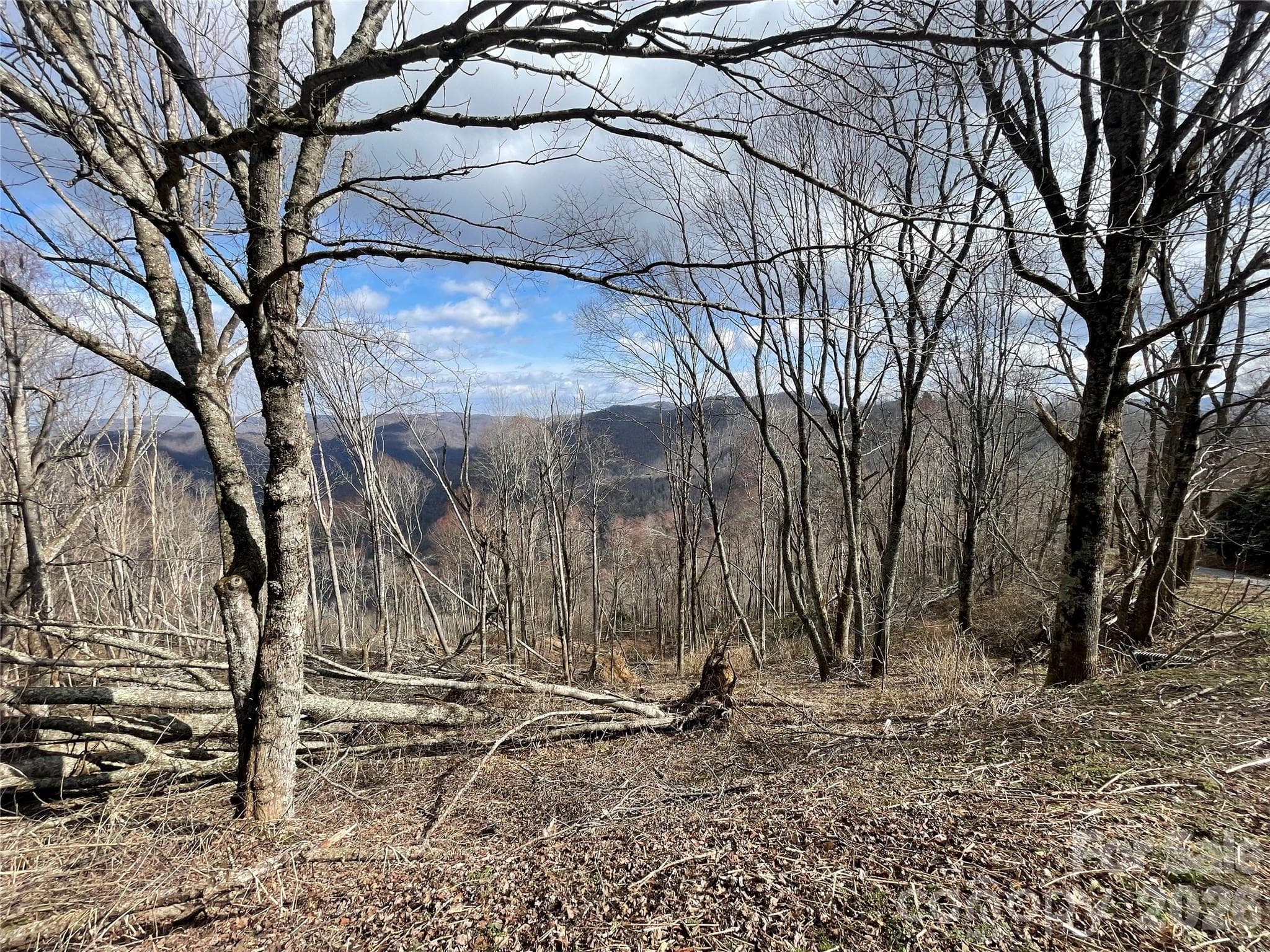 Lot at Clyde, photo 2 of 35