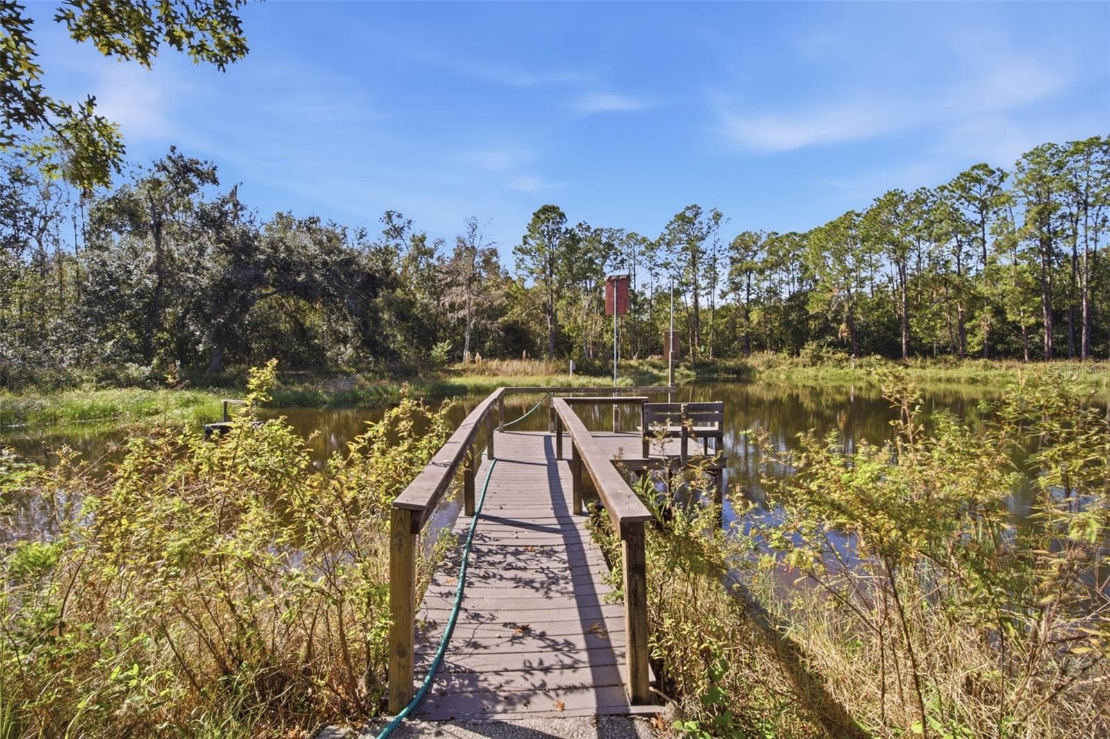 Dock to Pond - 9240 MOORE RD, LAKELAND