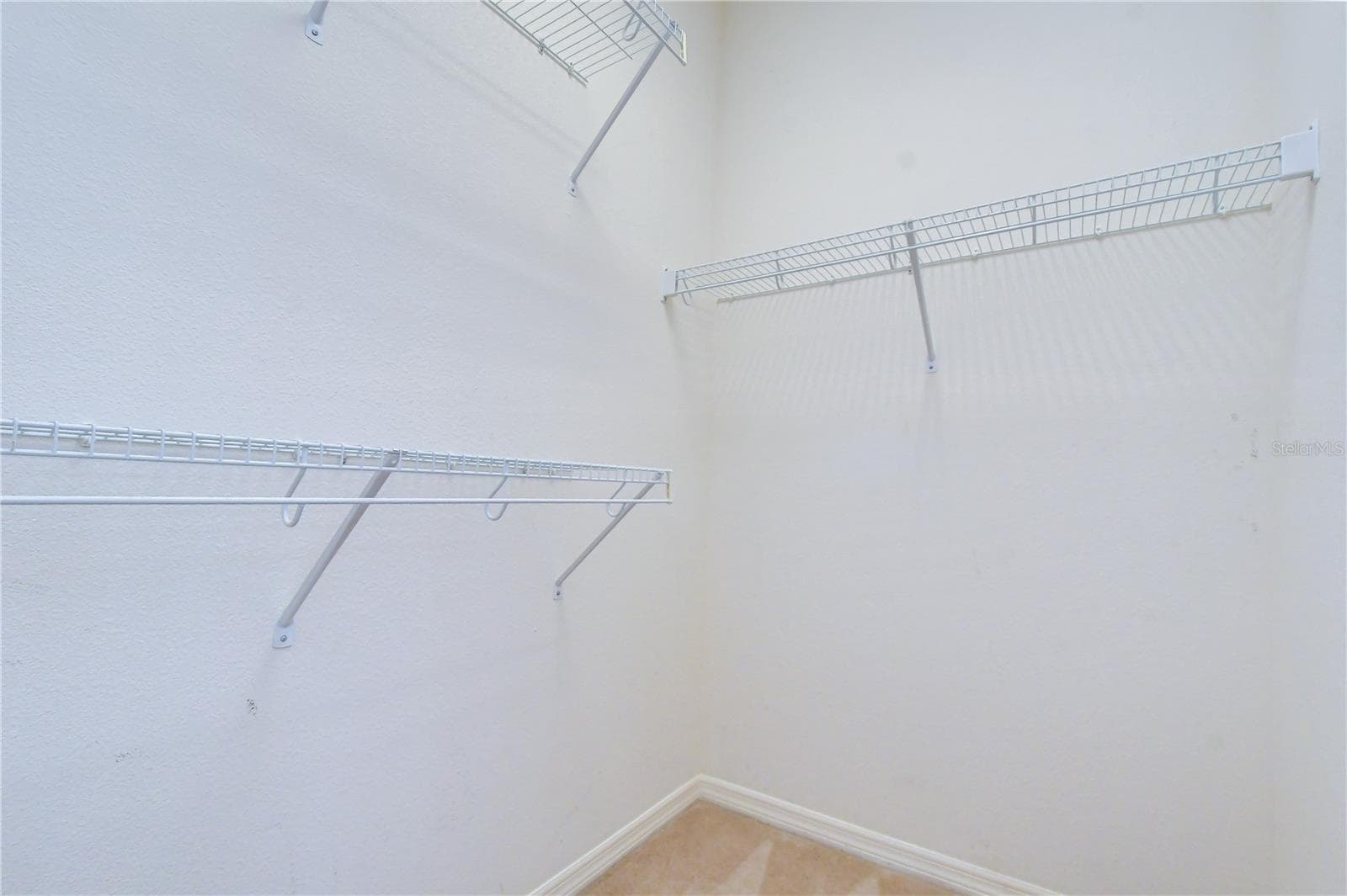 Single Family Residence at 8443 WHITE POPLAR DR, RIVERVIEW, photo 57 of 105