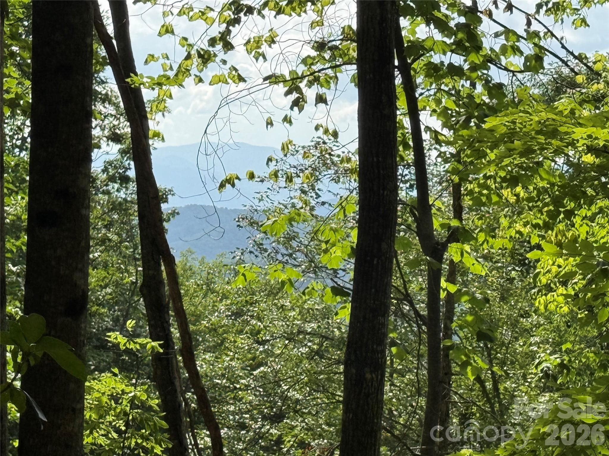 Lot at Sylva, photo 2 of 22