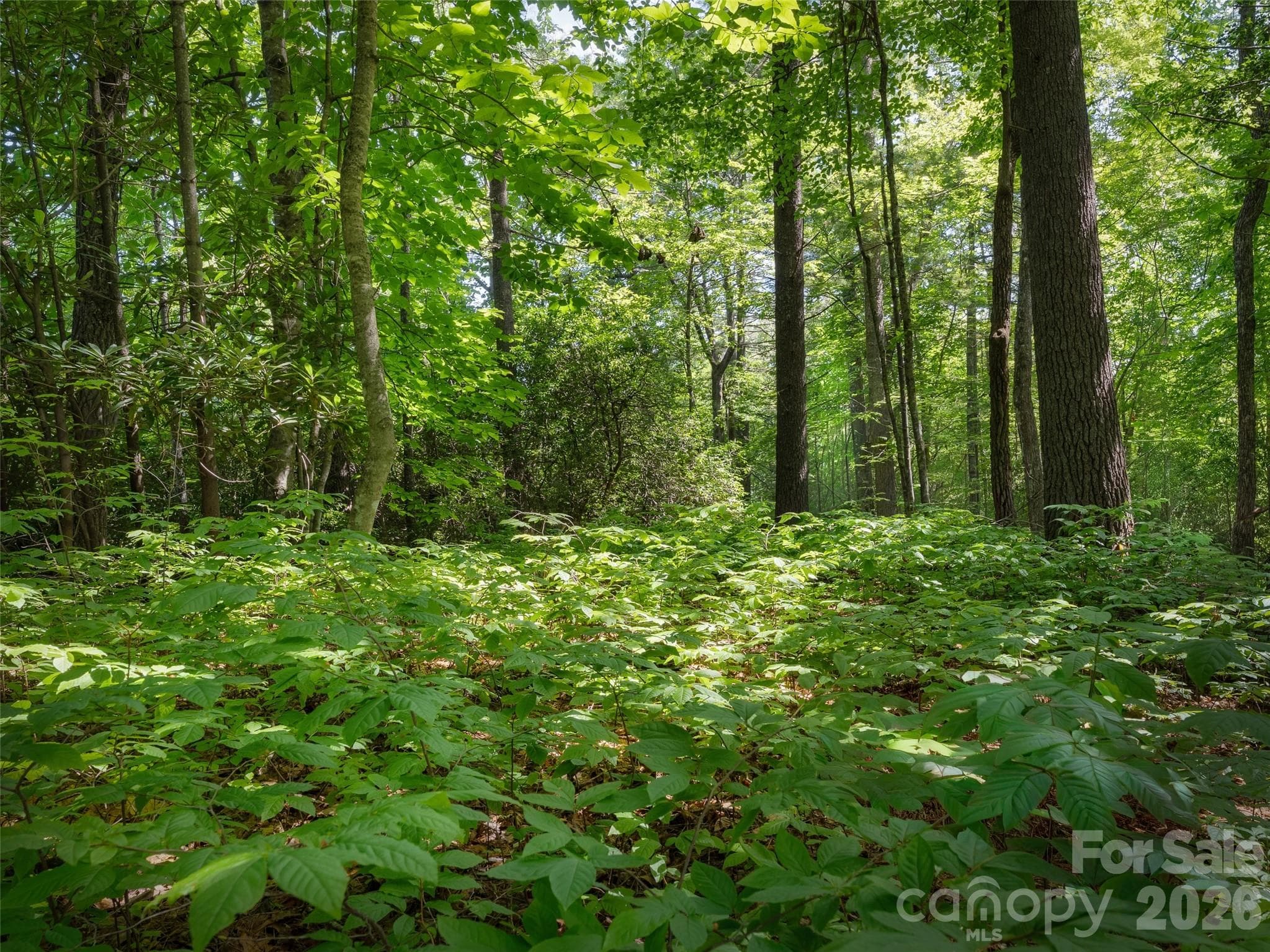 Lot 161 Eagle Lake Drive