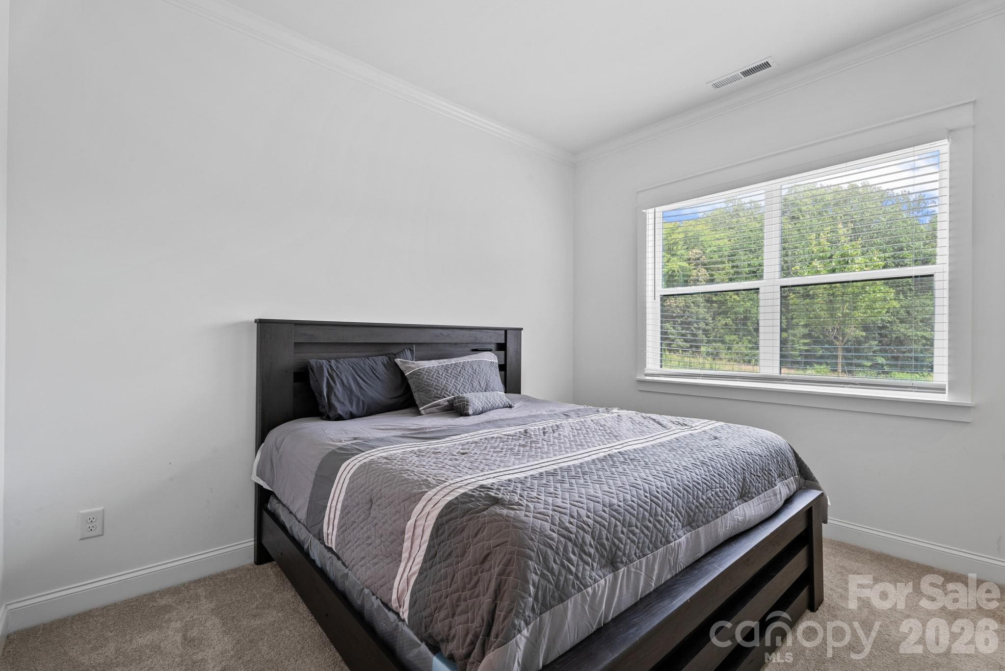 Main Level Bedroom - 13944 Roosevelt Grove Drive, Huntersville